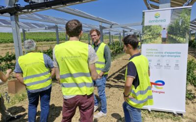 Agrivoltaïsme : le SDE65 visite un site expérimental sur un domaine viticole près de Carcassonne